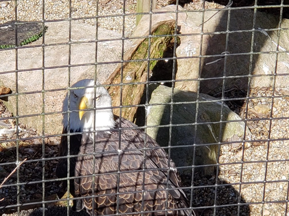 Ohio Bird Sanctuary景点图片