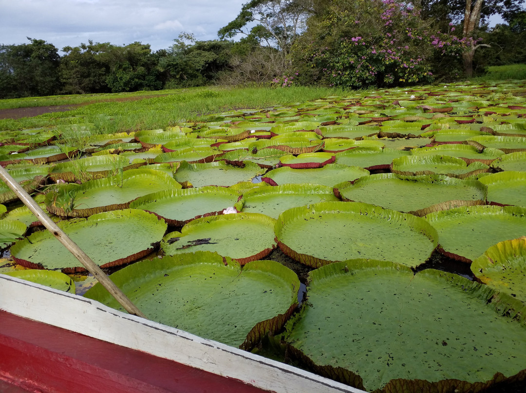 Serra da Valeria景点图片