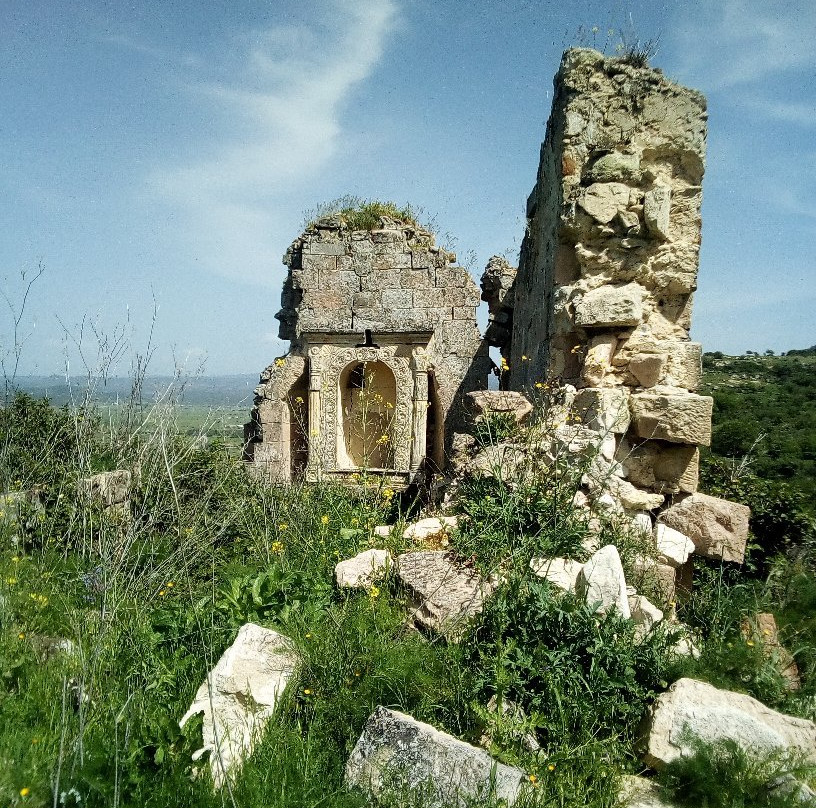 Chiesa romanica di San Francesco景点图片