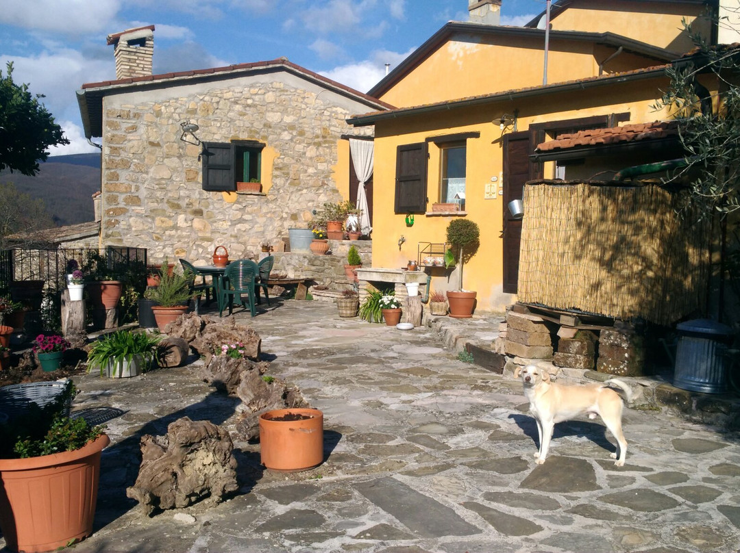 Casa Lisetta