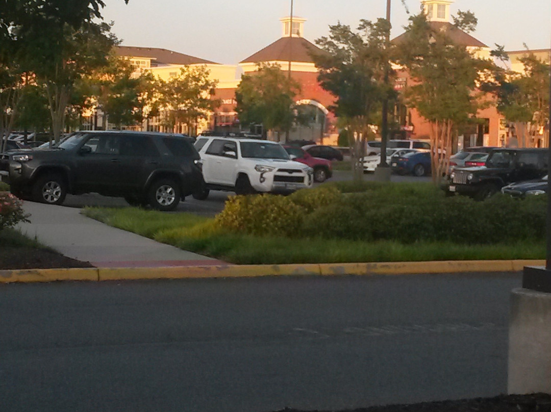 Hyatt Place Chesapeake Greenbrier主图