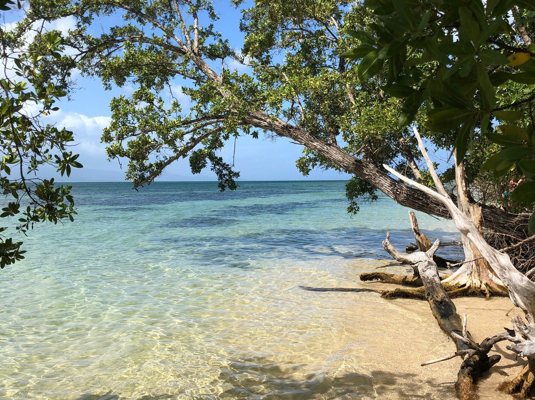 Notre Dame de Guadaloupe-Pointe-a-Pitre必去景点