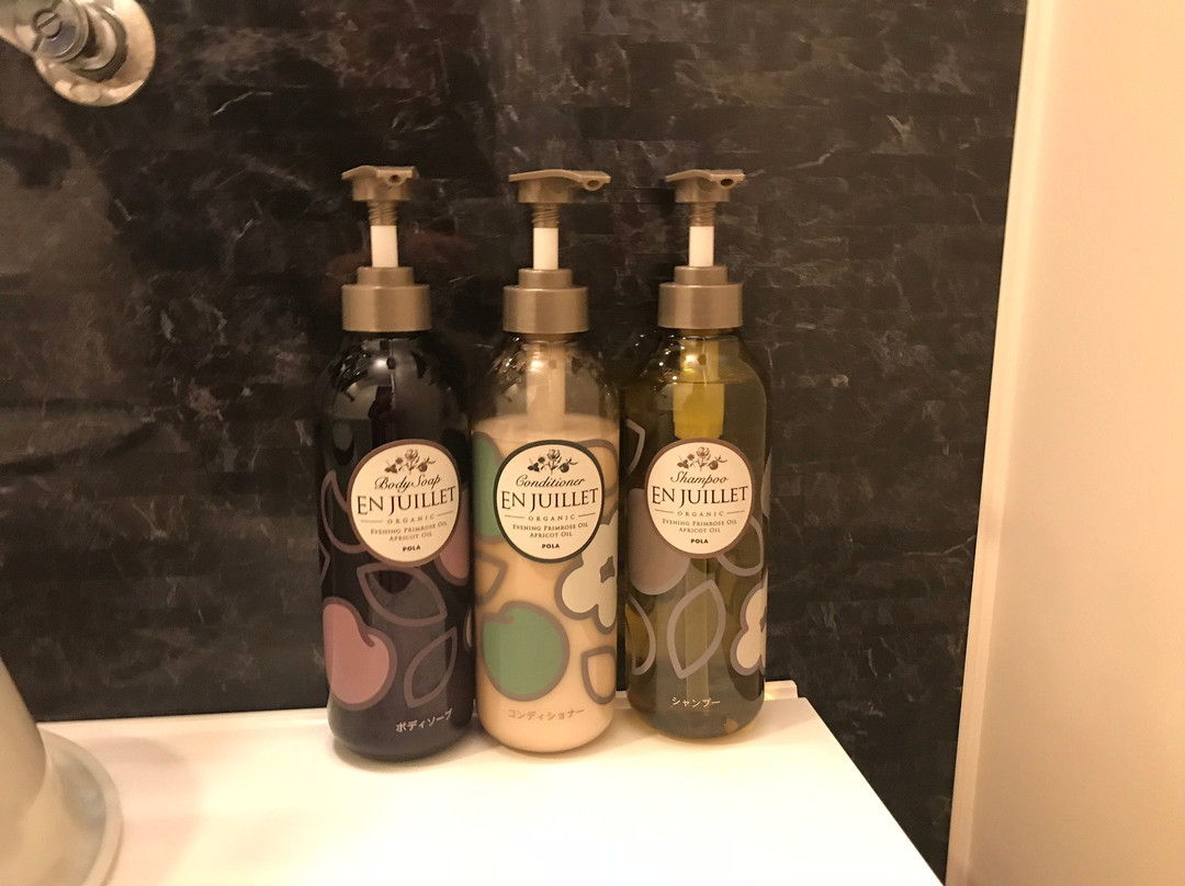 Richmond Hotel Yokohama Ekimae主图