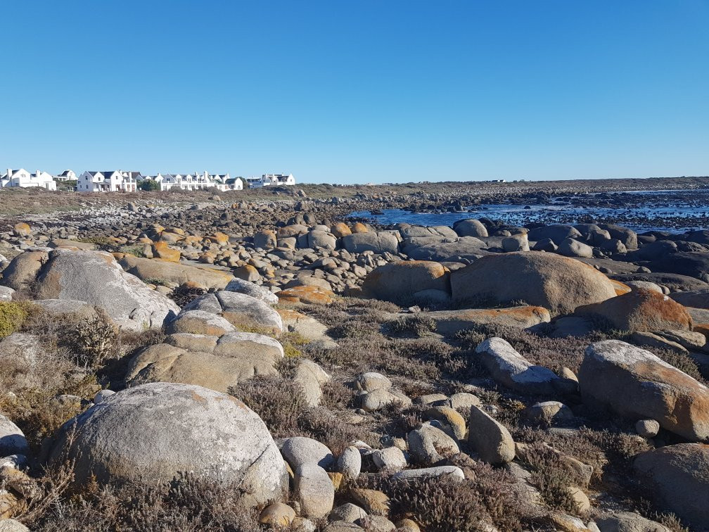 Whispering Whale Guest House主图