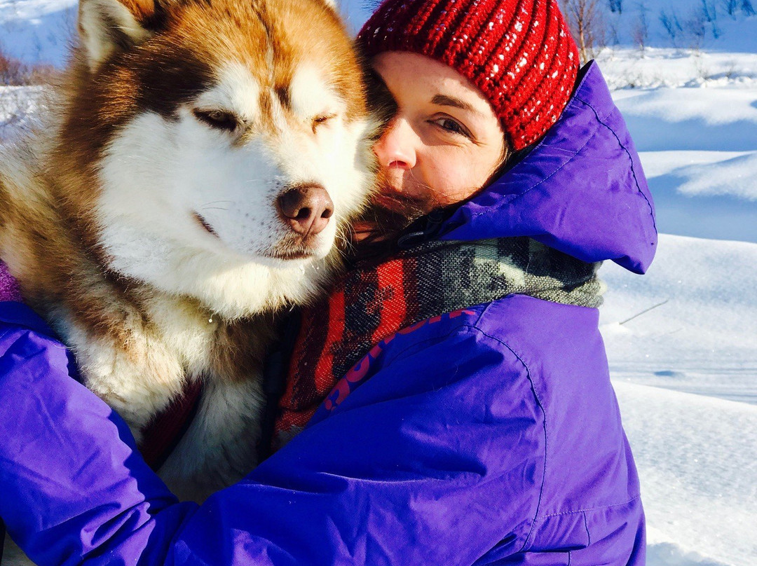 Inspiration Iceland-阿克雷里必去景点