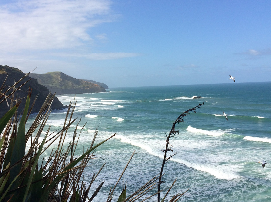 Beautiful Nature Tours Auckland景点图片