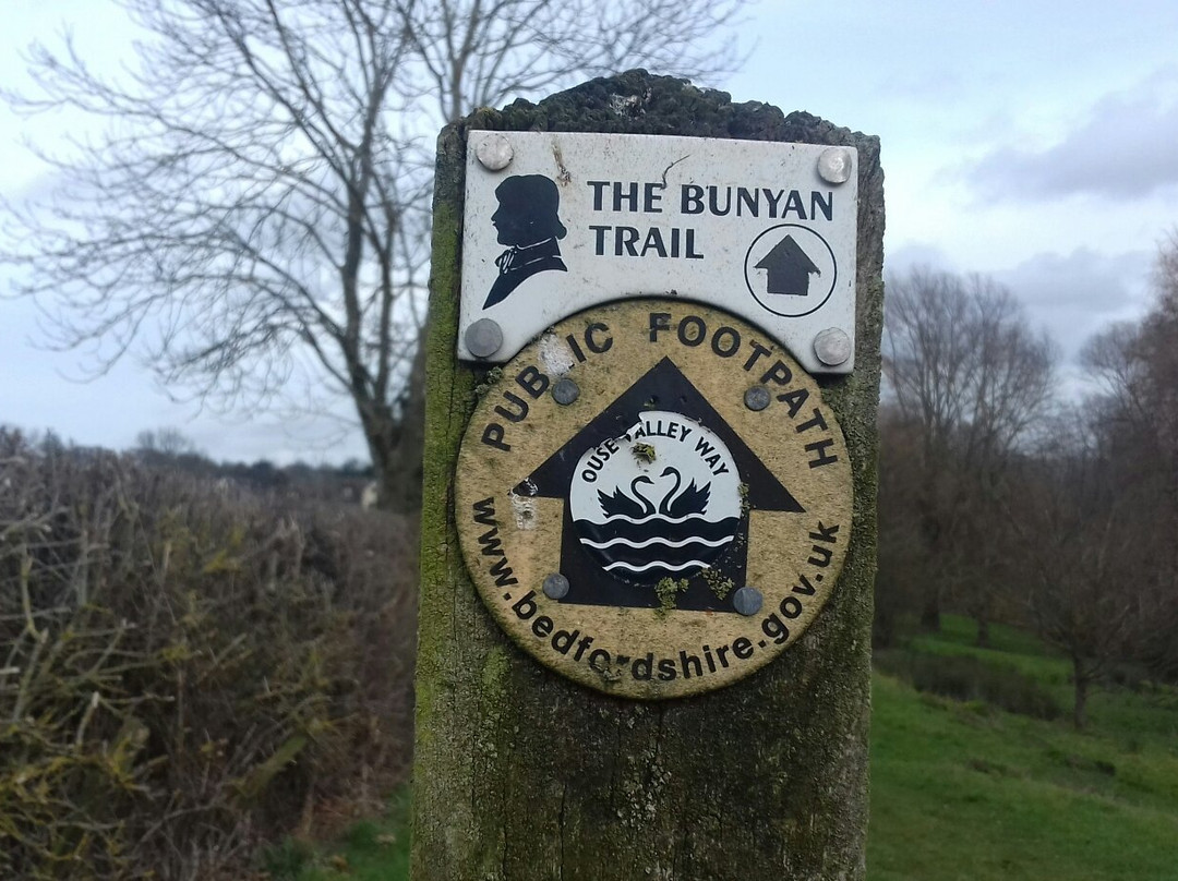Pavenham Osier Beds景点图片