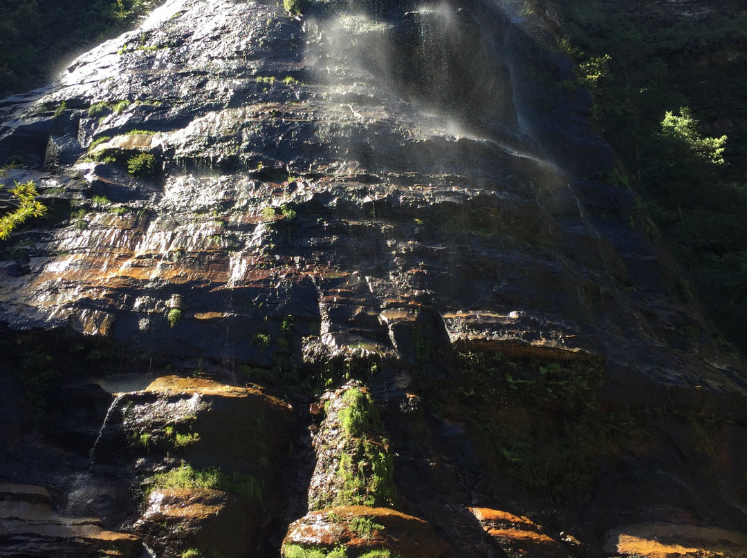 Blue Mountains Visitor Information-卡通巴必去景点