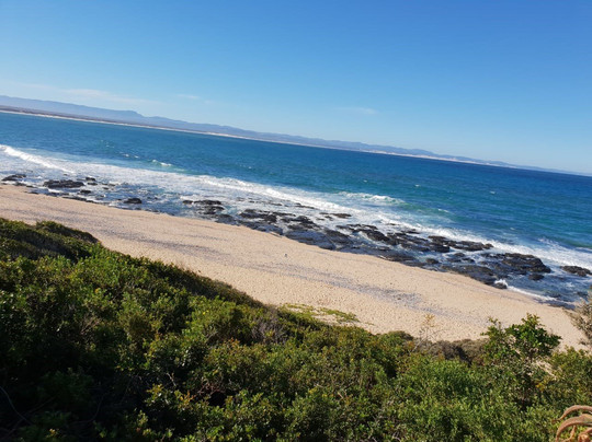 Dolphin Sunrise主图