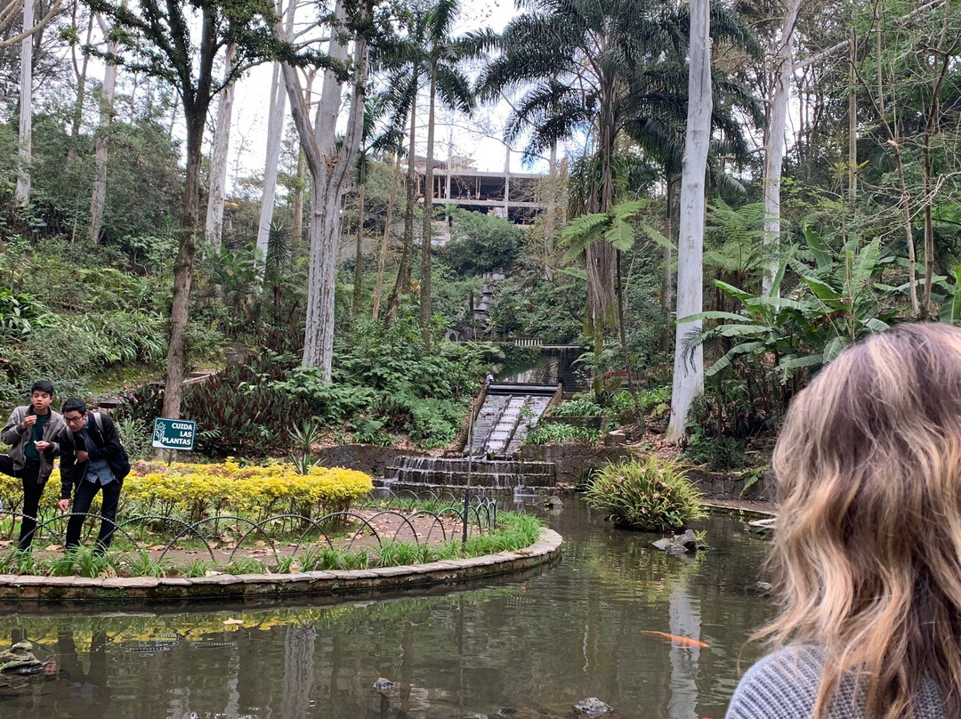 Parque de los Tecajetes景点图片