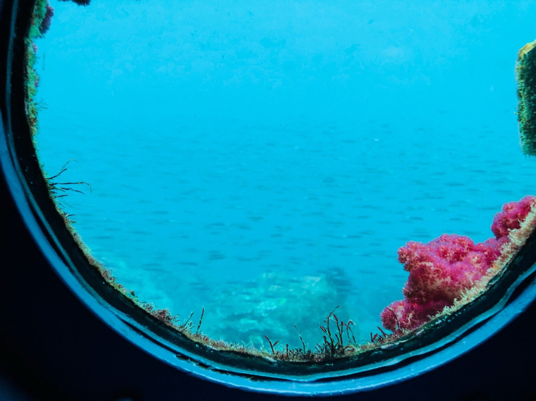 Kushimoto Marine Park Undersea Tower-串本町必去景点