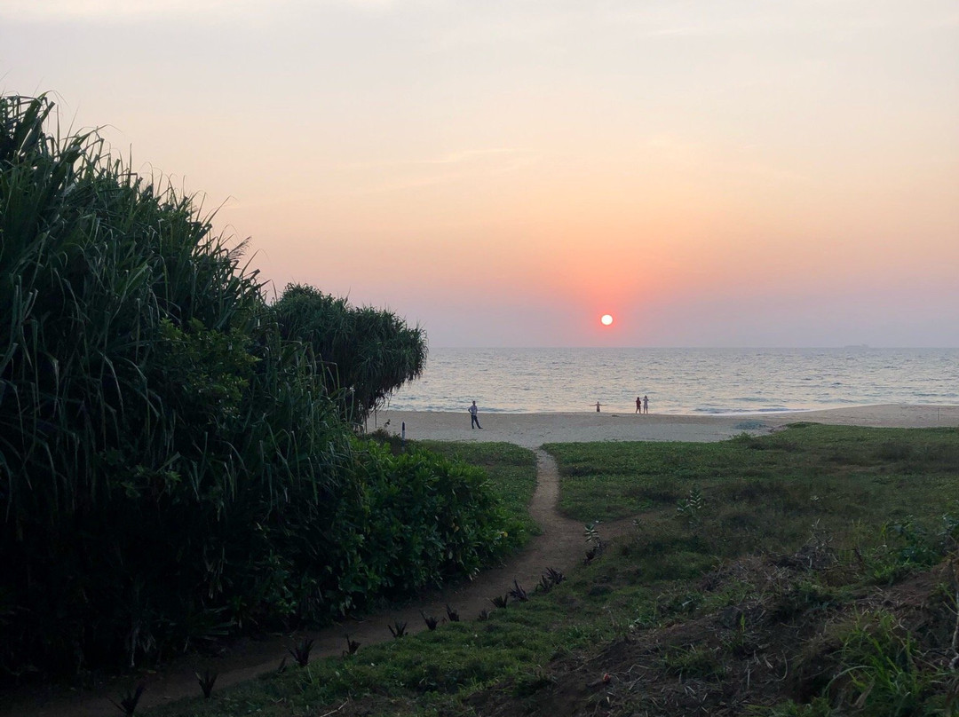 Amba Ayurveda Hotel主图