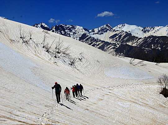 Compass Tour-第比利斯必去景点