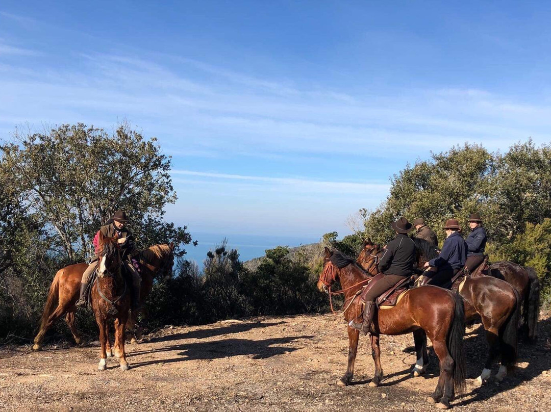Tuscany Horse Trail景点图片