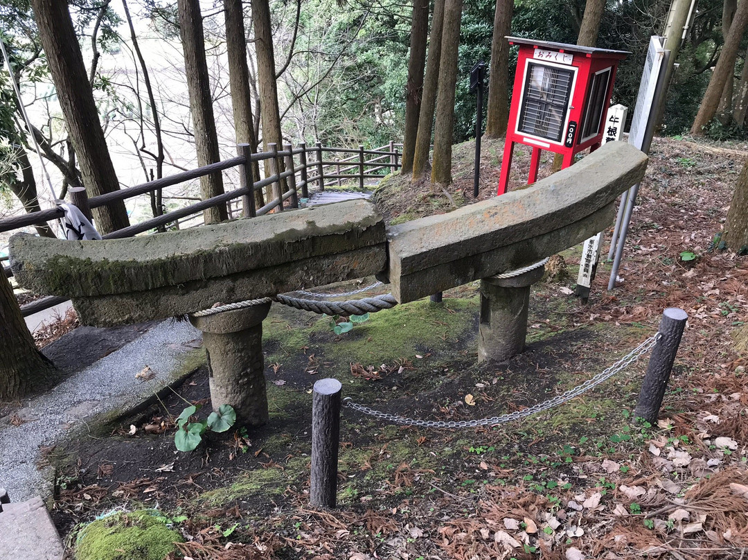 Ushine Fumoto Inari Shrine Buried Torii-垂水市必去景点