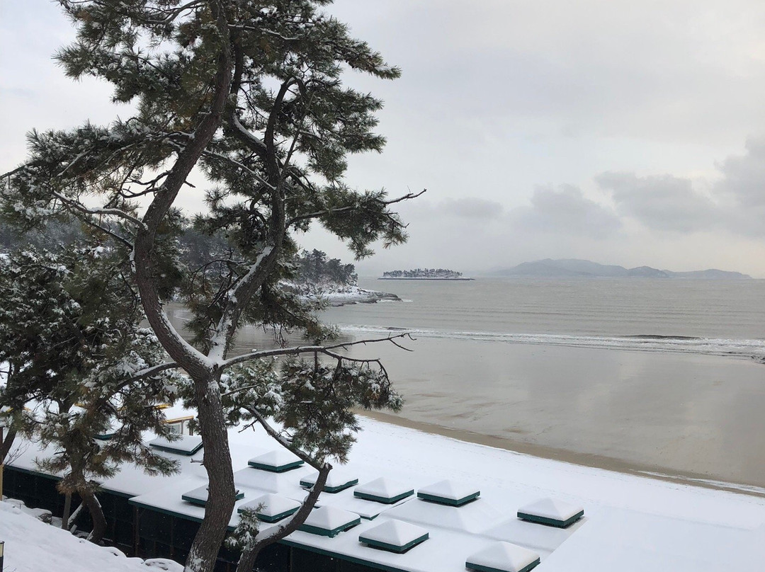 El Dorado Resort主图