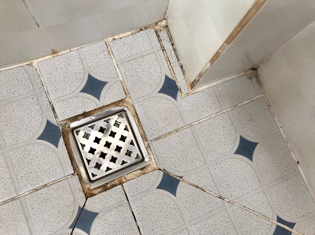 金河简易别墅主图