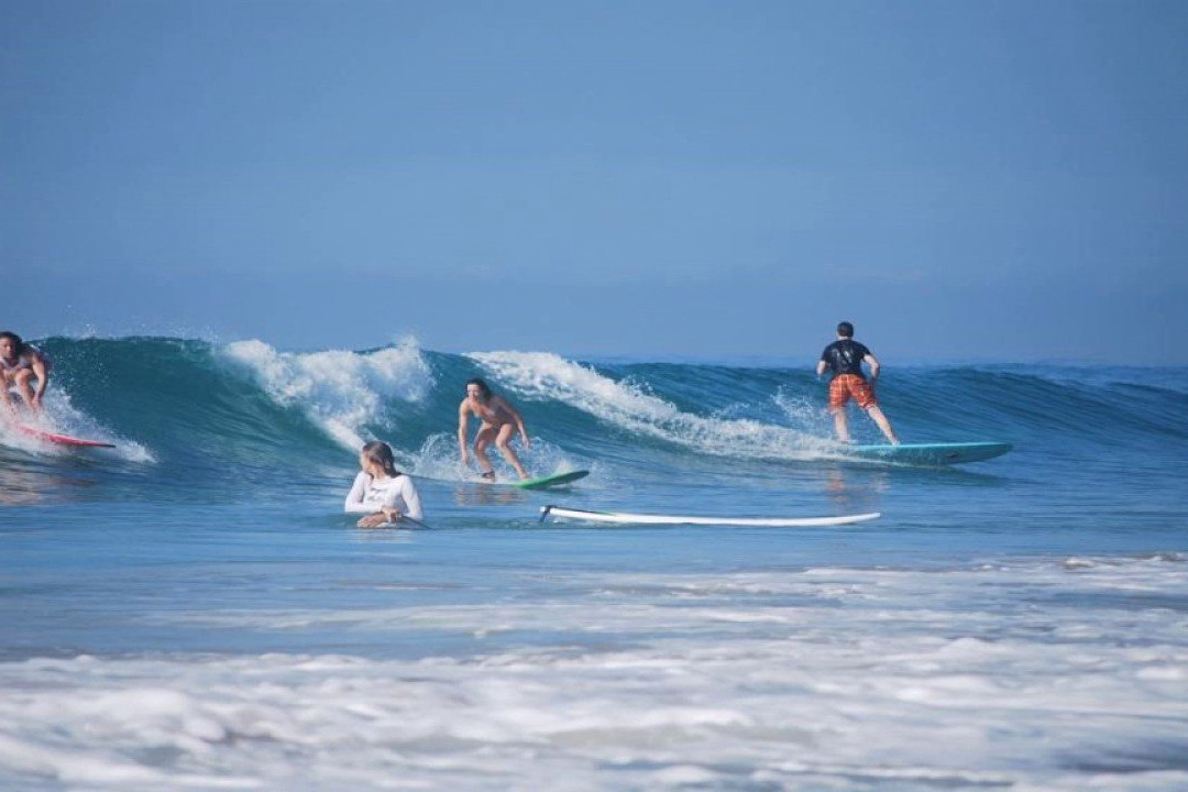 Turtle Bay Activities-瓦勒迦玛必去景点