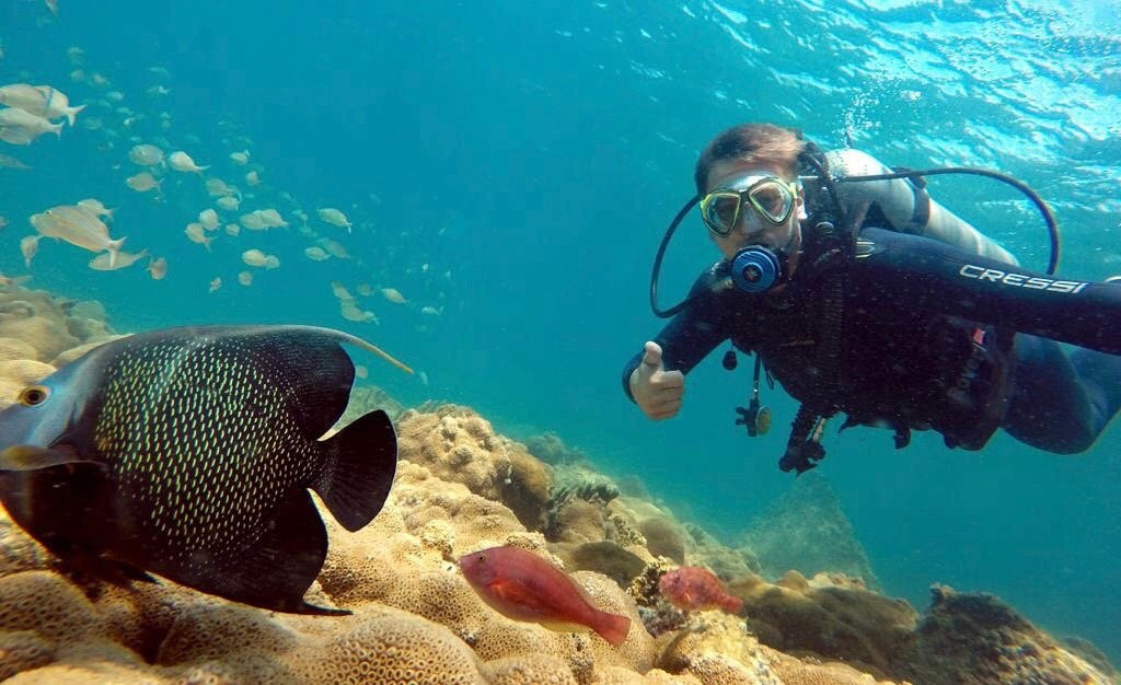 PL Divers-阿拉伊阿尔港必去景点