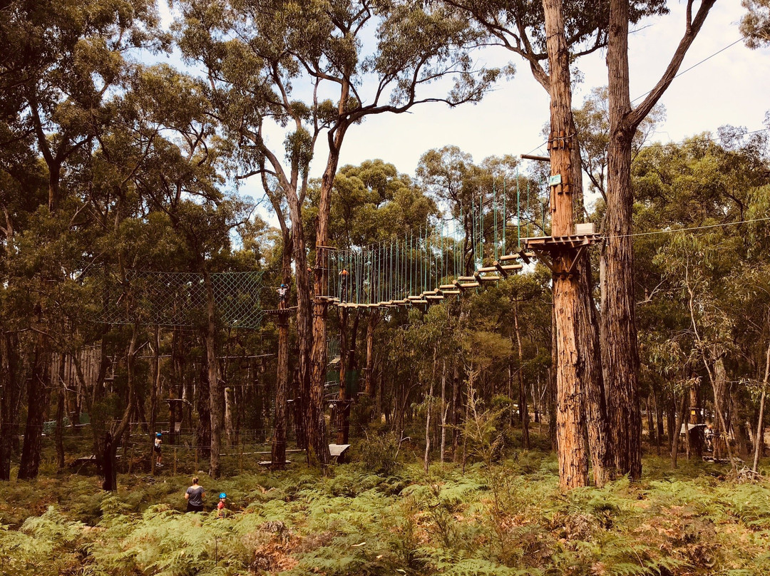 Treetops Adventure Yeodene-Yeodene必去景点
