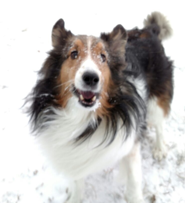 Cottonmill Lake-卡尼必去景点