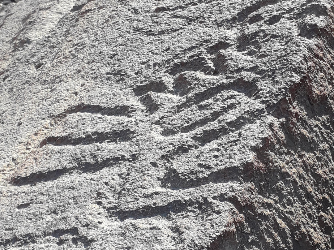 Petroglifos De Chichictara-Palpa必去景点