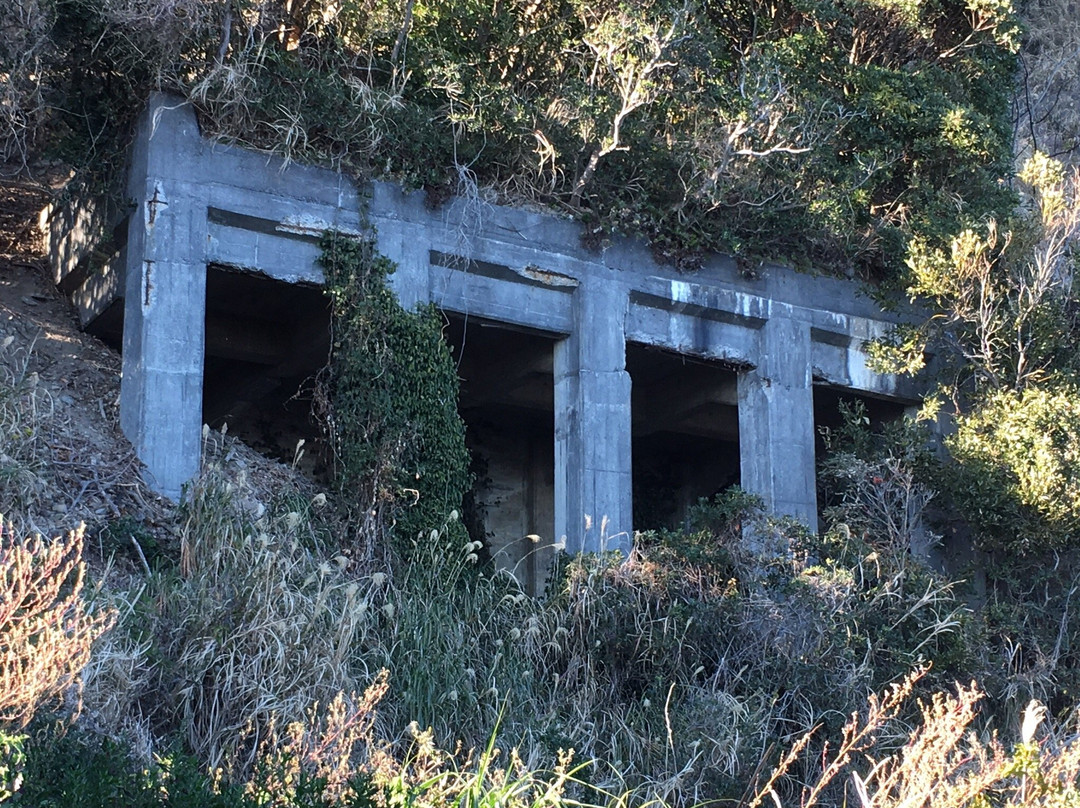 Okuzure Seacoast-烧津市必去景点