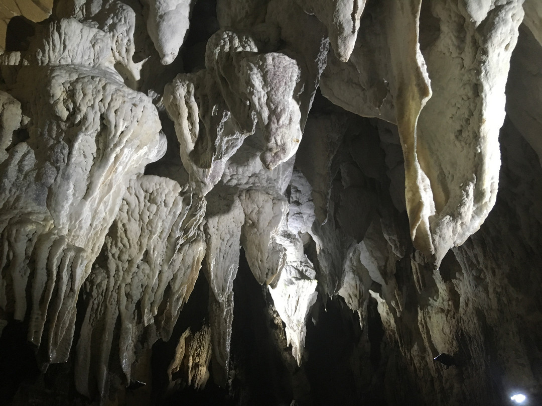 Aranui Cave景点图片
