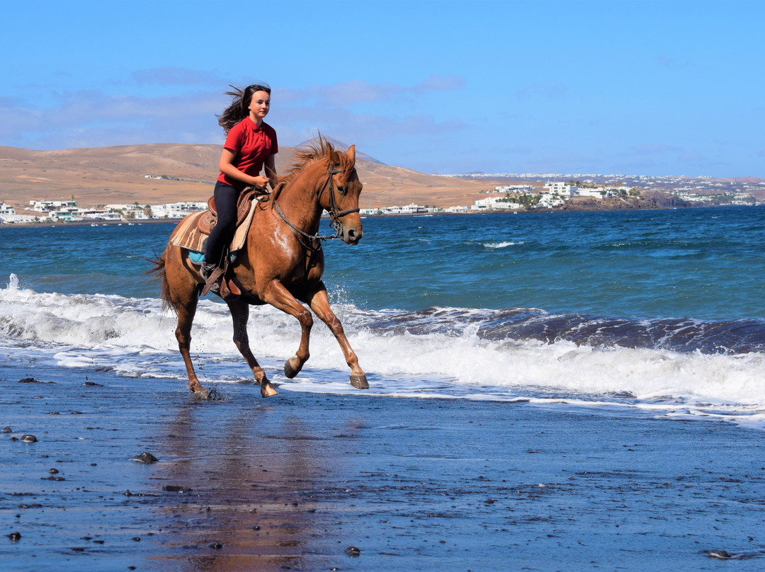 Lanzarote a Caballo景点图片