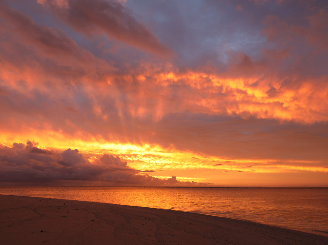 Tavarua Island Resort主图