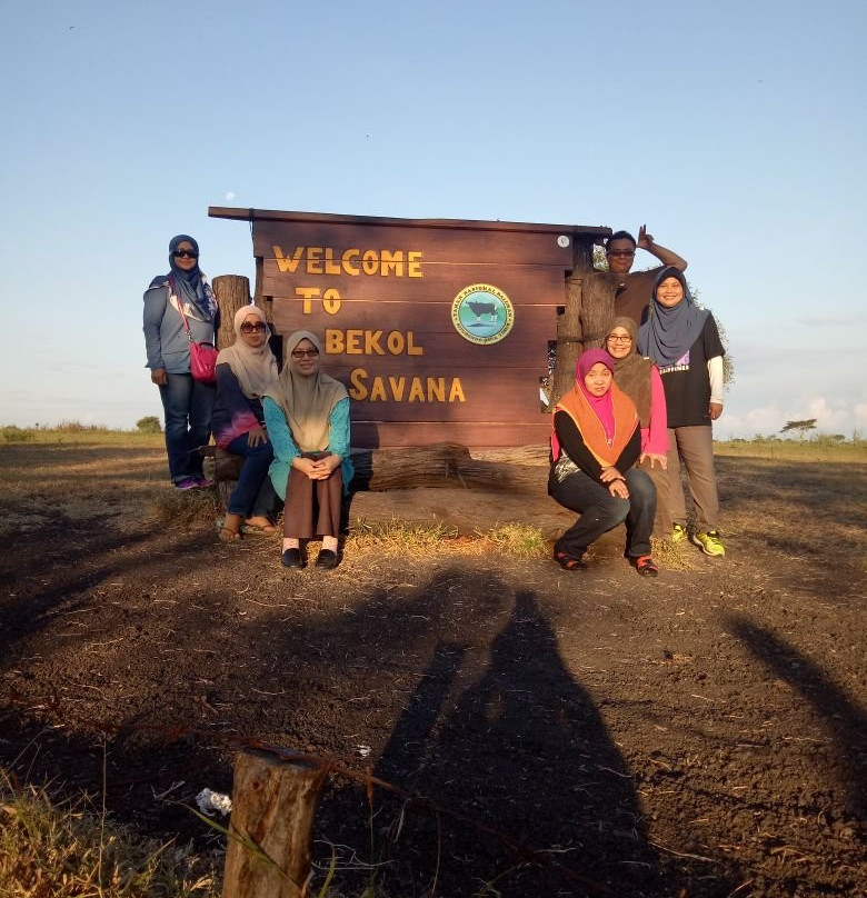 Savanna Field-巴纽旺宣必去景点