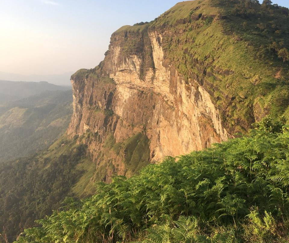 Misty Heights Homestay主图