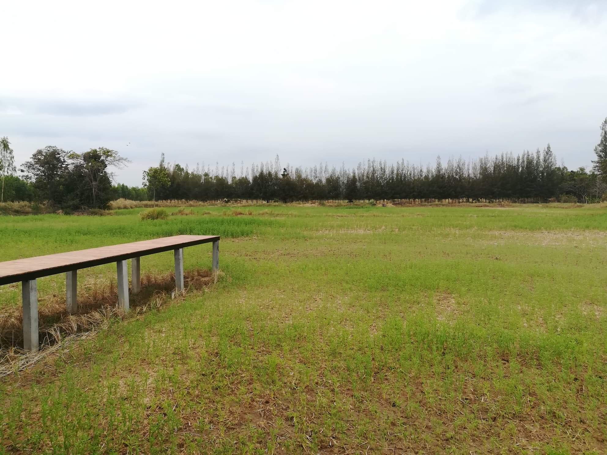 Xaiyong Resort-官方