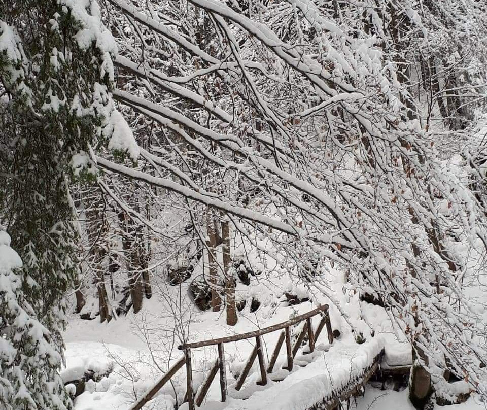 Ski areál Praděd-Mala Moravka必去景点