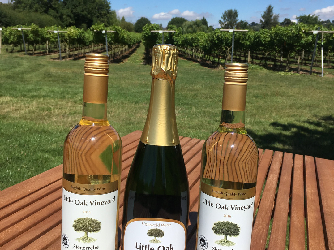 Little Oak Vineyard-奇平卡姆登必去景点