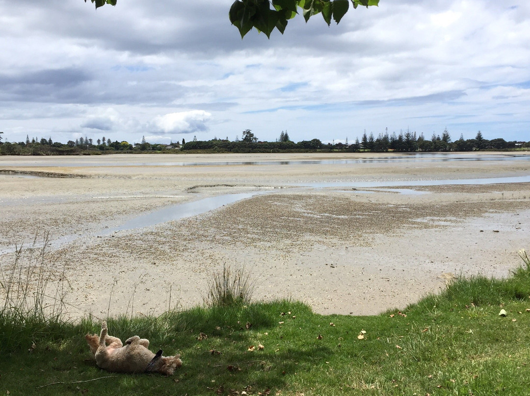Orewa – Te Ara Tahuna Estuary Cycleway-奥雷瓦必去景点