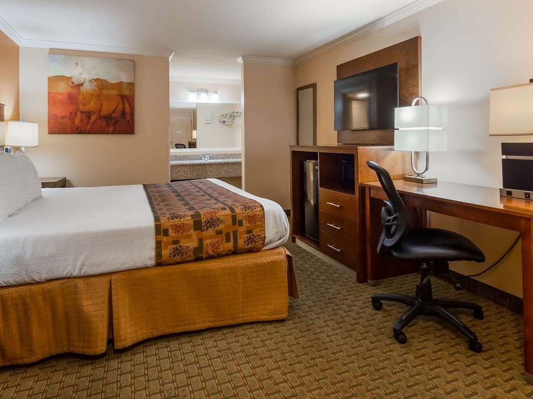 Best Western Skyline Motor Lodge主图