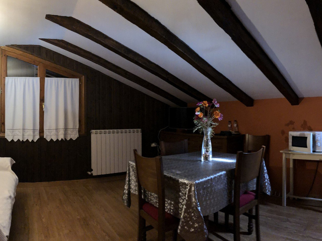 HOTEL APARTAMENTOS BARRAU主图