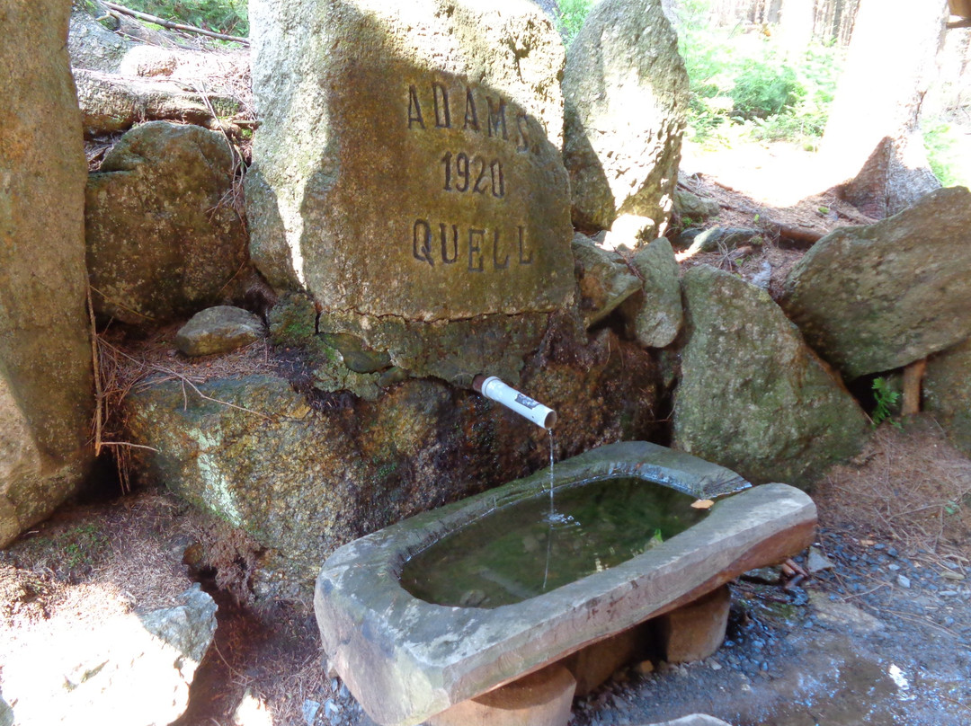 Spring of Dr. Adam景点图片