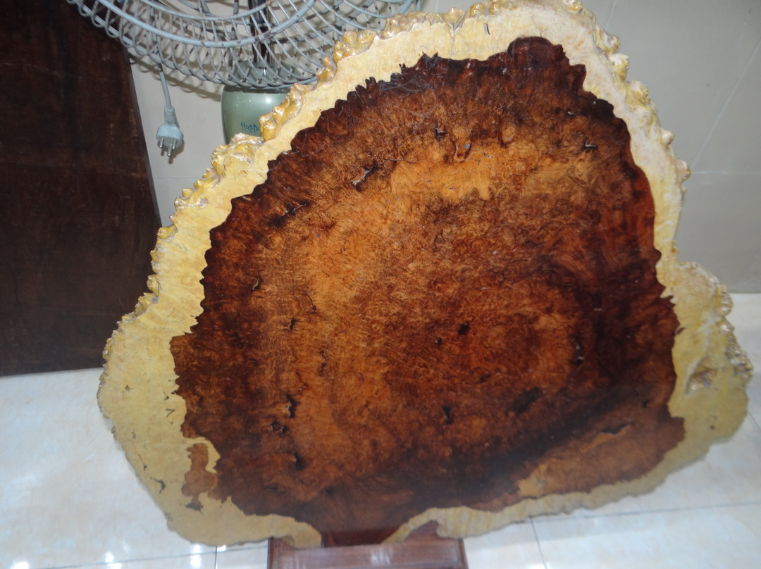 Forest Museum-布莱尔港必去景点