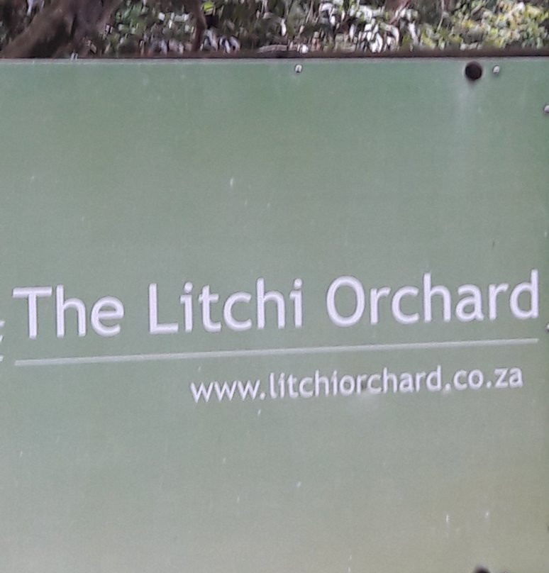 The Litchi Orchard景点图片