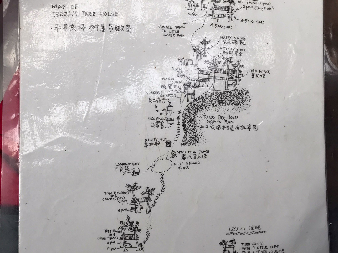 Terra Tree House主图