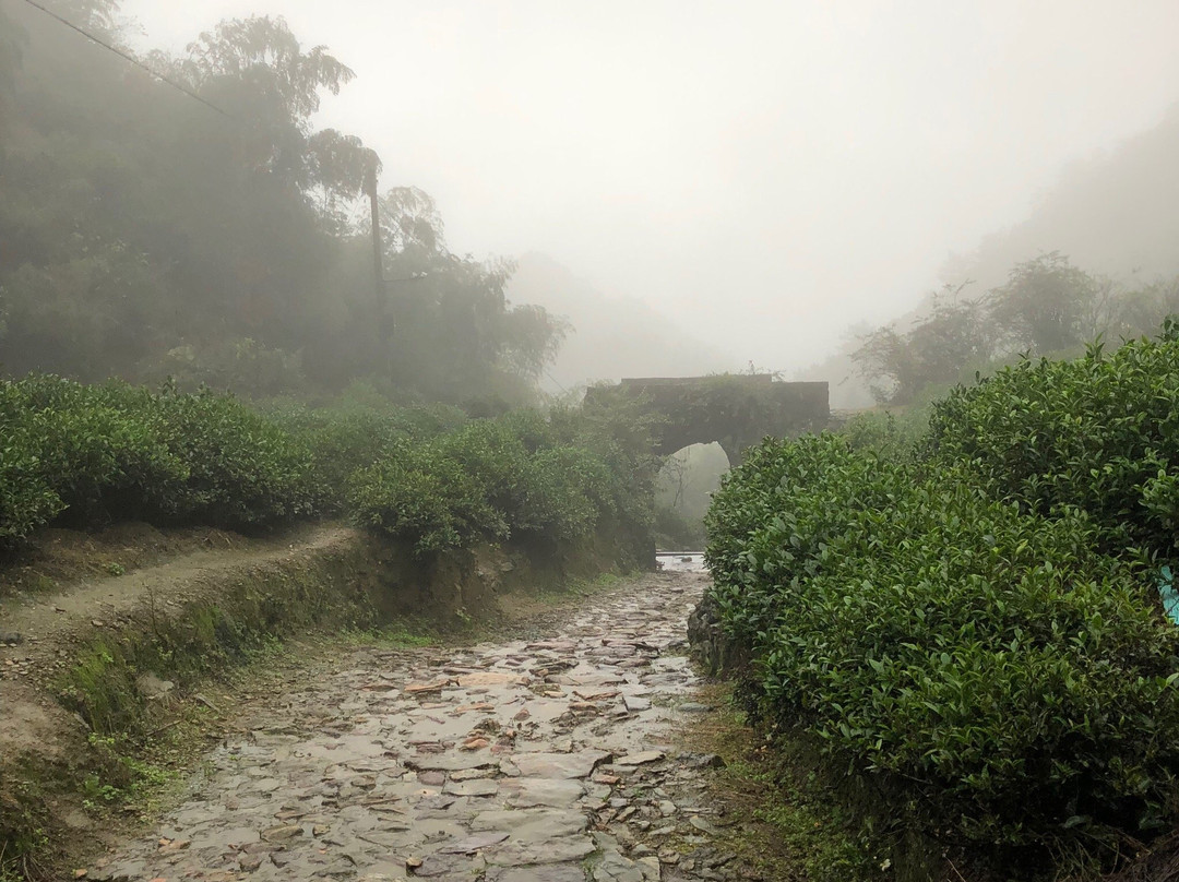 仙霞森林公园-江山市必去景点