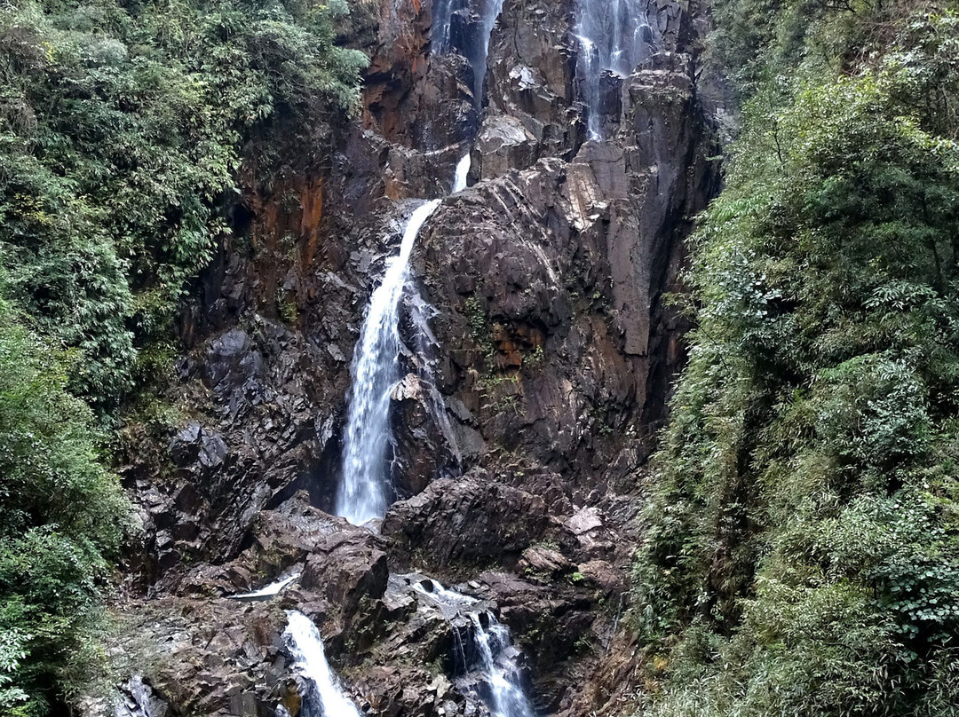 郴州莽山国家森林公园-宜章县必去景点