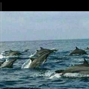 Partner Bali Tour-图班必去景点