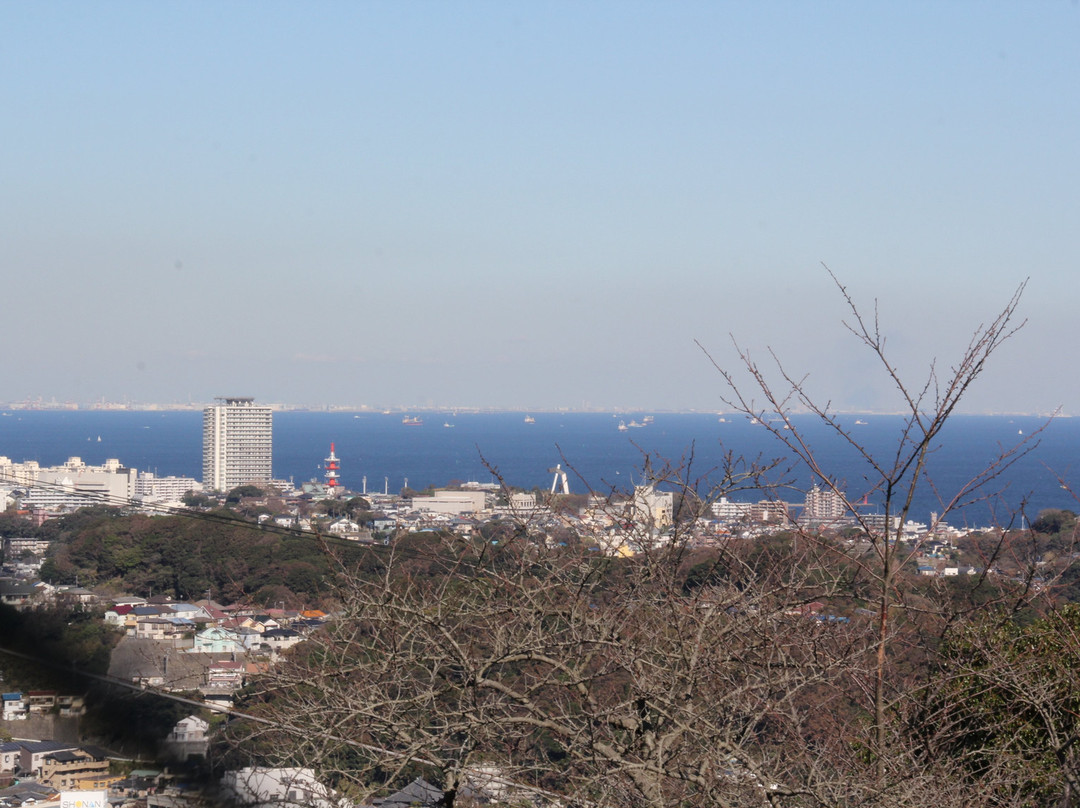 Kinugasayama Park景点图片