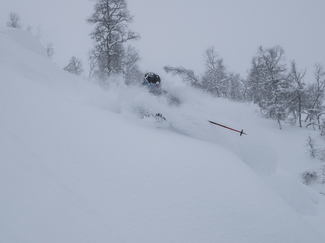 Sogndal Skisenter景点图片