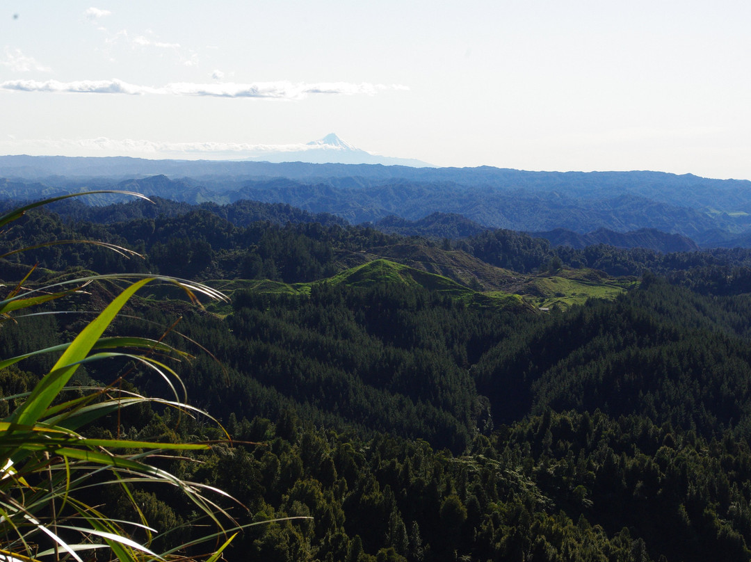 Waitahinga Trails景点图片
