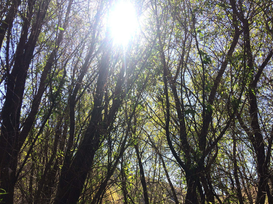 Kayak Center-Atizapan de Zaragoza必去景点