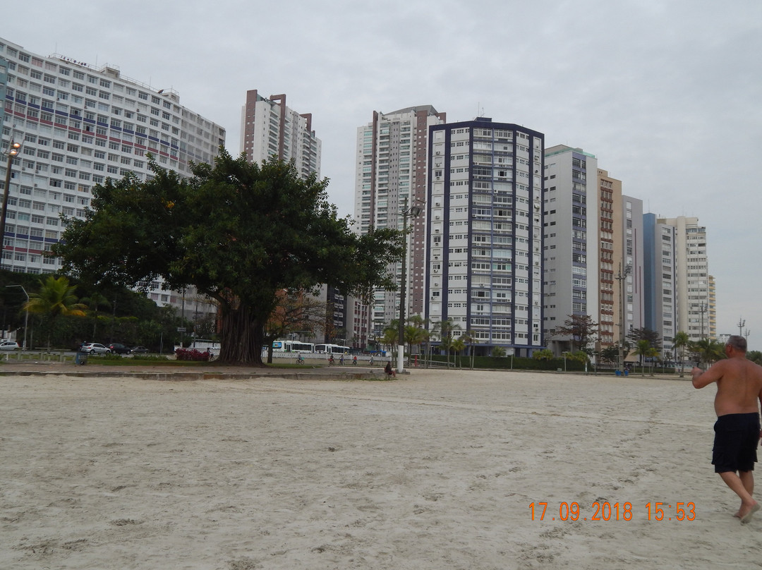 Itarare Beach景点图片
